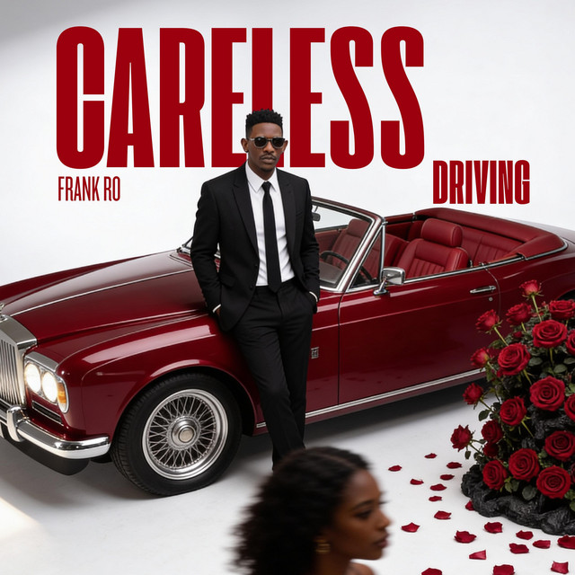 Cover of Careless Driving by Frank Ro
